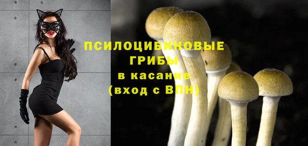 спайс Алзамай