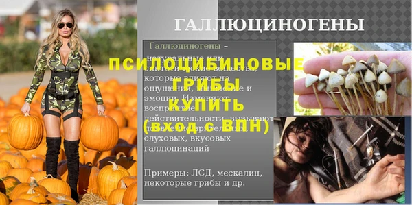 спайс Алзамай