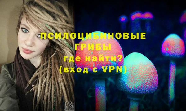 спайс Алзамай