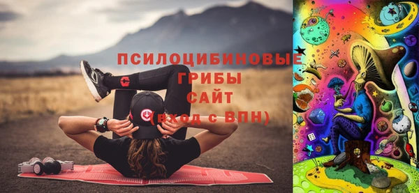 герыч Алексин