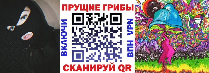 Псилоцибиновые грибы мицелий ссылка на мегу зеркало Бокситогорск